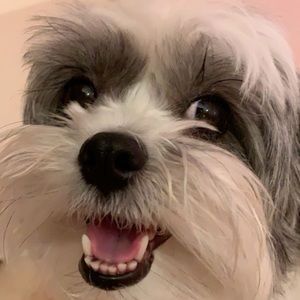 Meet your Posher, Kaitlyn